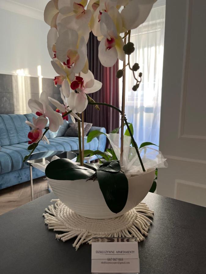 Apartment Kielce- Zacisze -komfort Przy Baseny Tropikalne, Faktura, Parking, Centrum Kielce